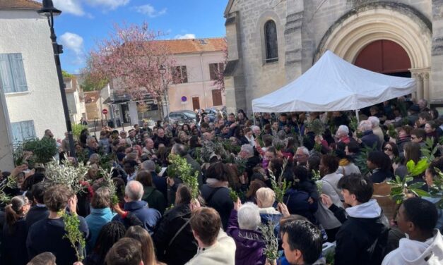 Bénédiction des rameaux, belle semaine Sainte à tous !